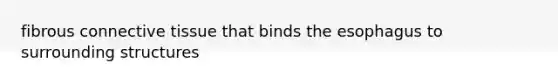 fibrous connective tissue that binds the esophagus to surrounding structures