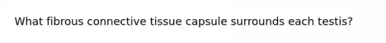 What fibrous <a href='https://www.questionai.com/knowledge/kYDr0DHyc8-connective-tissue' class='anchor-knowledge'>connective tissue</a> capsule surrounds each testis?