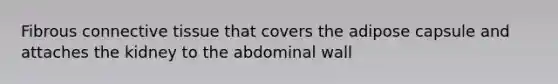 Fibrous connective tissue that covers the adipose capsule and attaches the kidney to the abdominal wall