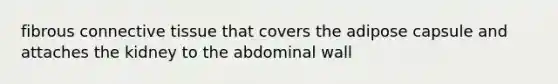 fibrous <a href='https://www.questionai.com/knowledge/kYDr0DHyc8-connective-tissue' class='anchor-knowledge'>connective tissue</a> that covers the adipose capsule and attaches the kidney to the abdominal wall