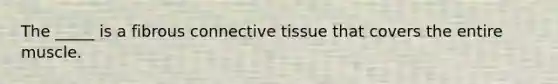 The _____ is a fibrous connective tissue that covers the entire muscle.