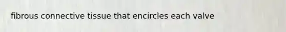 fibrous connective tissue that encircles each valve