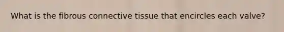 What is the fibrous connective tissue that encircles each valve?