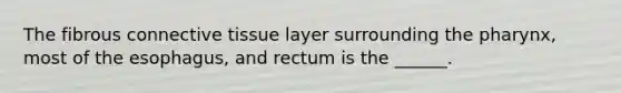 The fibrous <a href='https://www.questionai.com/knowledge/kYDr0DHyc8-connective-tissue' class='anchor-knowledge'>connective tissue</a> layer surrounding <a href='https://www.questionai.com/knowledge/ktW97n6hGJ-the-pharynx' class='anchor-knowledge'>the pharynx</a>, most of <a href='https://www.questionai.com/knowledge/kSjVhaa9qF-the-esophagus' class='anchor-knowledge'>the esophagus</a>, and rectum is the ______.