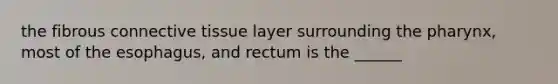 the fibrous connective tissue layer surrounding the pharynx, most of the esophagus, and rectum is the ______