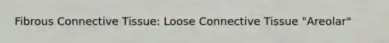 Fibrous Connective Tissue: Loose Connective Tissue "Areolar"