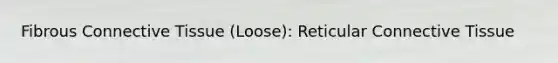 Fibrous Connective Tissue (Loose): Reticular Connective Tissue
