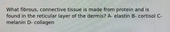 What fibrous, connective tissue is made from protein and is found in the reticular layer of the dermis? A- elastin B- cortisol C- melanin D- collagen