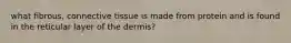 what fibrous, connective tissue is made from protein and is found in the reticular layer of the dermis?