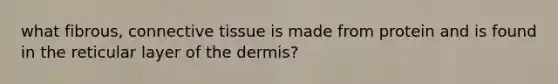 what fibrous, connective tissue is made from protein and is found in the reticular layer of the dermis?