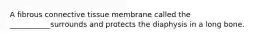 A fibrous connective tissue membrane called the ___________surrounds and protects the diaphysis in a long bone.