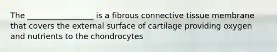 The _________________ is a fibrous connective tissue membrane that covers the external surface of cartilage providing oxygen and nutrients to the chondrocytes