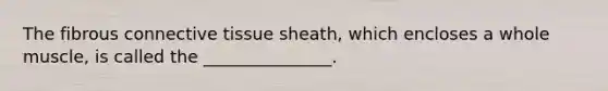 The fibrous <a href='https://www.questionai.com/knowledge/kYDr0DHyc8-connective-tissue' class='anchor-knowledge'>connective tissue</a> sheath, which encloses a whole muscle, is called the _______________.