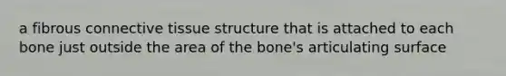 a fibrous <a href='https://www.questionai.com/knowledge/kYDr0DHyc8-connective-tissue' class='anchor-knowledge'>connective tissue</a> structure that is attached to each bone just outside the area of the bone's articulating surface