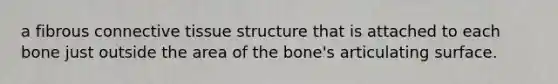 a fibrous connective tissue structure that is attached to each bone just outside the area of the bone's articulating surface.