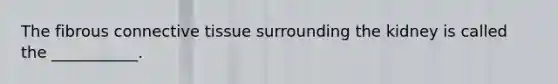 The fibrous connective tissue surrounding the kidney is called the ___________.