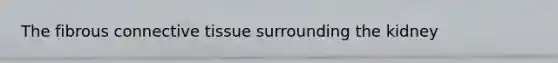 The fibrous connective tissue surrounding the kidney