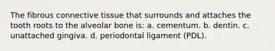 The fibrous connective tissue that surrounds and attaches the tooth roots to the alveolar bone is: a. cementum. b. dentin. c. unattached gingiva. d. periodontal ligament (PDL).