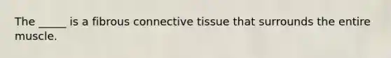 The _____ is a fibrous connective tissue that surrounds the entire muscle.