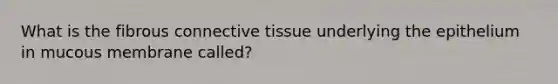 What is the fibrous connective tissue underlying the epithelium in mucous membrane called?