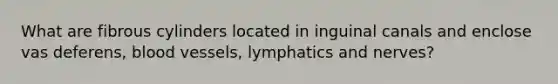 What are fibrous cylinders located in inguinal canals and enclose vas deferens, blood vessels, lymphatics and nerves?