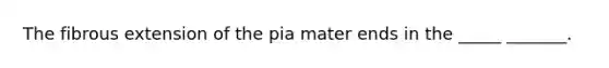 The fibrous extension of the pia mater ends in the _____ _______.