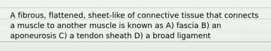 A fibrous, flattened, sheet-like of connective tissue that connects a muscle to another muscle is known as A) fascia B) an aponeurosis C) a tendon sheath D) a broad ligament