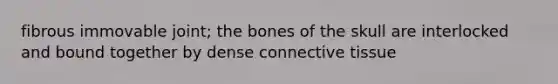 fibrous immovable joint; the bones of the skull are interlocked and bound together by dense connective tissue