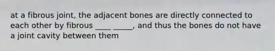 at a fibrous joint, the adjacent bones are directly connected to each other by fibrous ____ _____, and thus the bones do not have a joint cavity between them