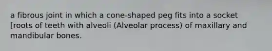 a fibrous joint in which a cone-shaped peg fits into a socket [roots of teeth with alveoli (Alveolar process) of maxillary and mandibular bones.