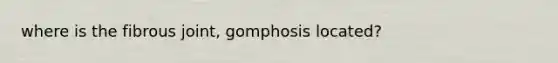 where is the fibrous joint, gomphosis located?