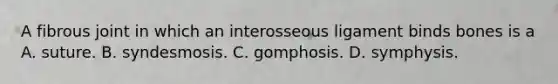 A fibrous joint in which an interosseous ligament binds bones is a A. suture. B. syndesmosis. C. gomphosis. D. symphysis.