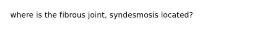 where is the fibrous joint, syndesmosis located?