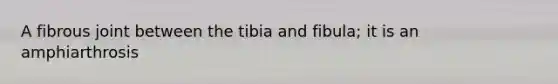 A fibrous joint between the tibia and fibula; it is an amphiarthrosis