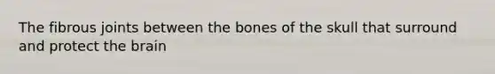 The fibrous joints between the bones of the skull that surround and protect the brain