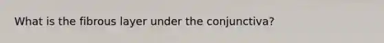 What is the fibrous layer under the conjunctiva?