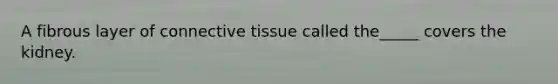 A fibrous layer of <a href='https://www.questionai.com/knowledge/kYDr0DHyc8-connective-tissue' class='anchor-knowledge'>connective tissue</a> called​ the_____ covers the kidney.