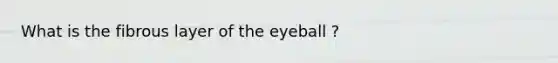 What is the fibrous layer of the eyeball ?