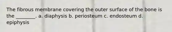 The fibrous membrane covering the outer surface of the bone is the ________. a. diaphysis b. periosteum c. endosteum d. epiphysis