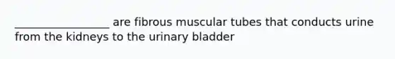 _________________ are fibrous muscular tubes that conducts urine from the kidneys to the urinary bladder