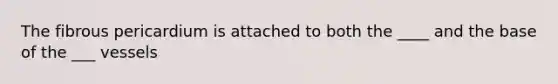 The fibrous pericardium is attached to both the ____ and the base of the ___ vessels