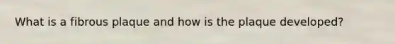 What is a fibrous plaque and how is the plaque developed?
