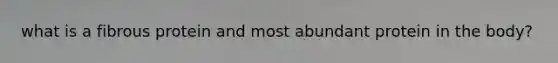 what is a fibrous protein and most abundant protein in the body?