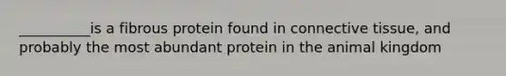 __________is a fibrous protein found in connective tissue, and probably the most abundant protein in the animal kingdom