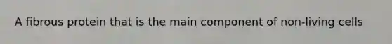 A fibrous protein that is the main component of non-living cells