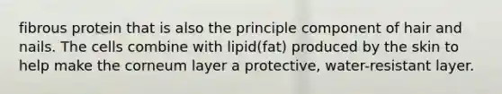 fibrous protein that is also the principle component of hair and nails. The cells combine with lipid(fat) produced by the skin to help make the corneum layer a protective, water-resistant layer.