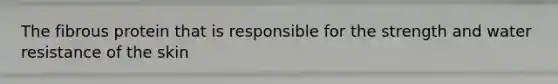 The fibrous protein that is responsible for the strength and water resistance of the skin