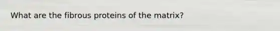 What are the fibrous proteins of the matrix?