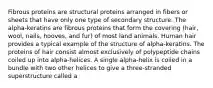 Fibrous proteins are structural proteins arranged in fibers or sheets that have only one type of secondary structure. The alpha-keratins are fibrous proteins that form the covering (hair, wool, nails, hooves, and fur) of most land animals. Human hair provides a typical example of the structure of alpha-keratins. The proteins of hair consist almost exclusively of polypeptide chains coiled up into alpha-helices. A single alpha-helix is coiled in a bundle with two other helices to give a three-stranded superstructure called a