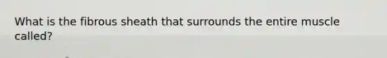 What is the fibrous sheath that surrounds the entire muscle called?